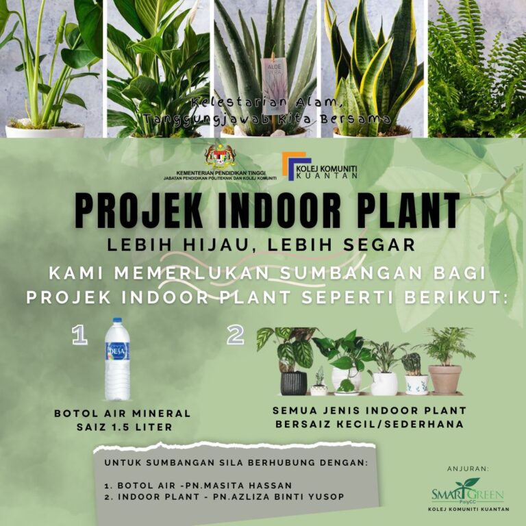 PROJEK INDOOR PLANT